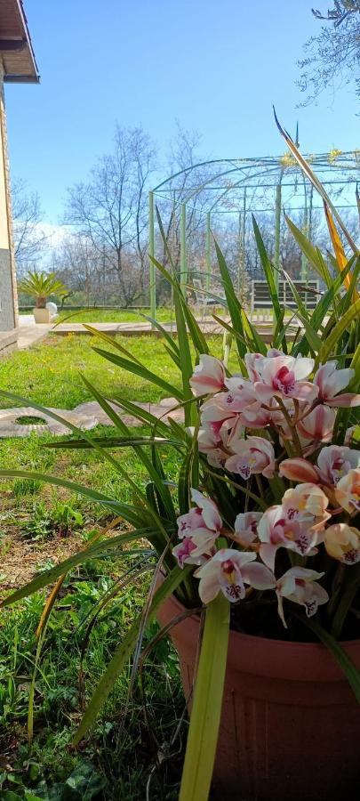 Casa Mari Villa Pontedassio Dış mekan fotoğraf