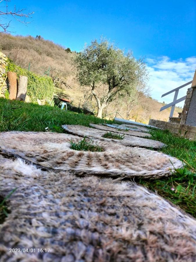 Casa Mari Villa Pontedassio Dış mekan fotoğraf
